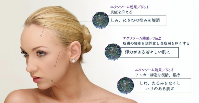 今話題のエクソソーム、再生医療で頭皮や髪の若返り